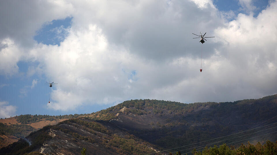 Фото: © РИА Новости/Виталий Тимкив