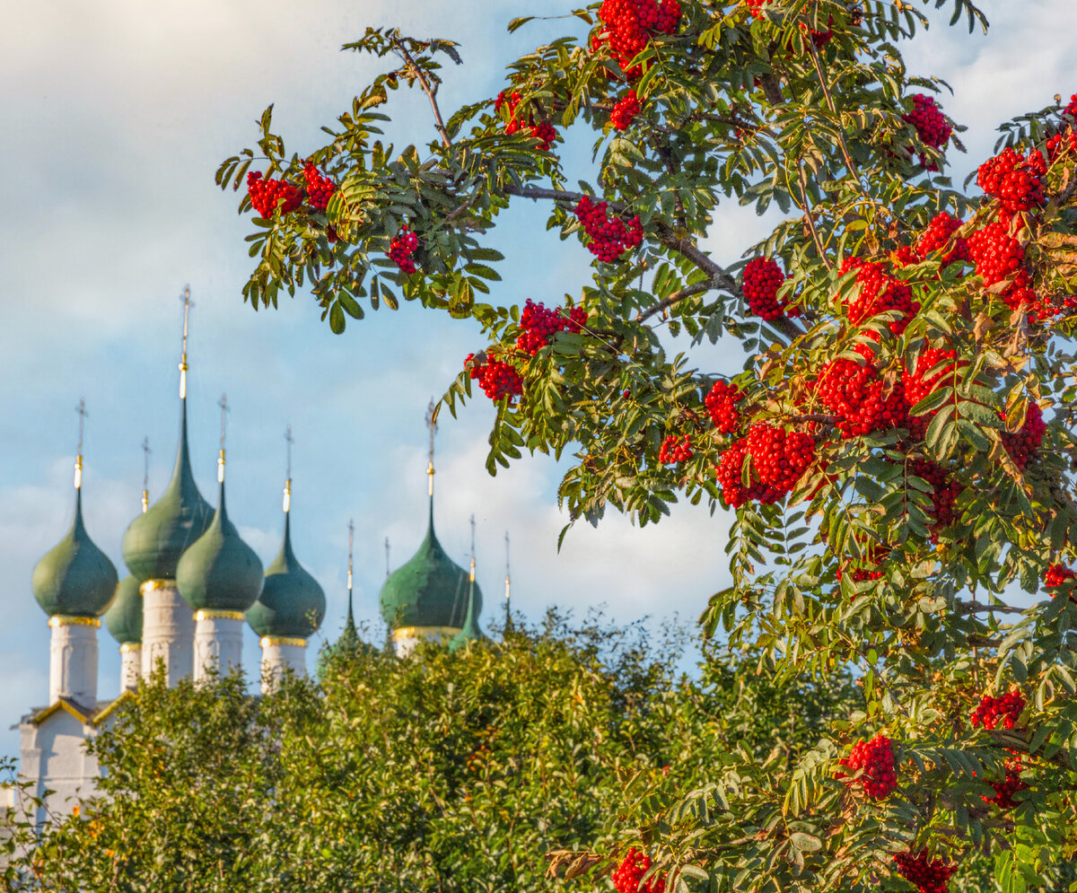 самойлов день