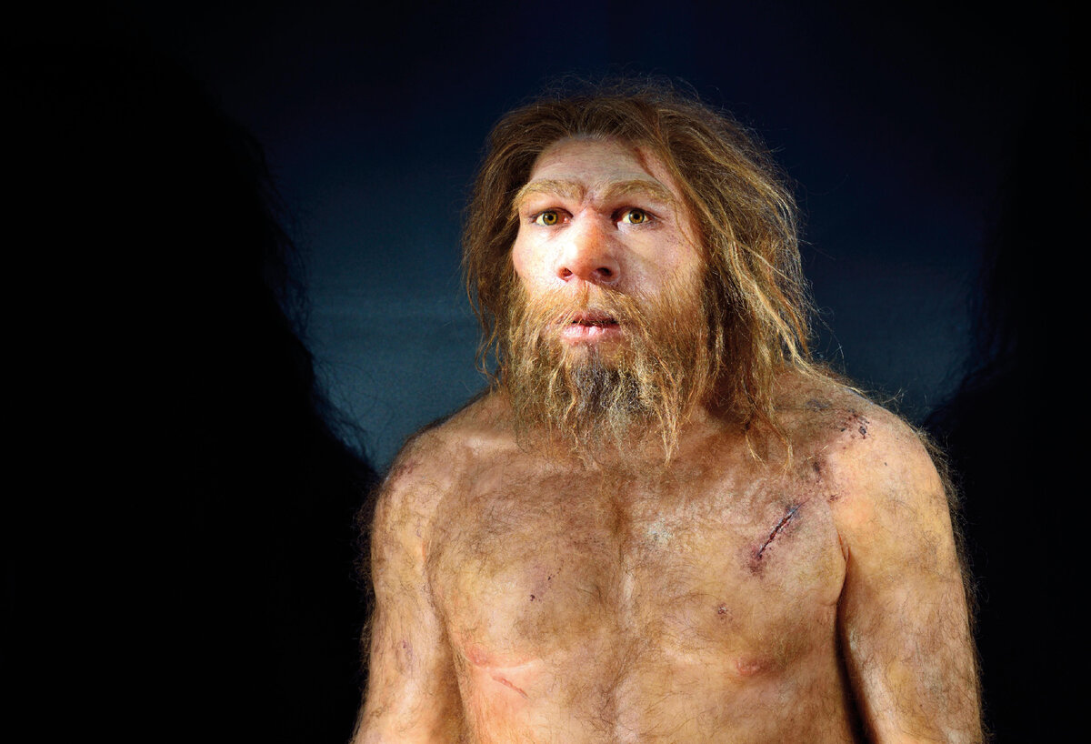Неандерталец увидел тебя по ту сторону экрана