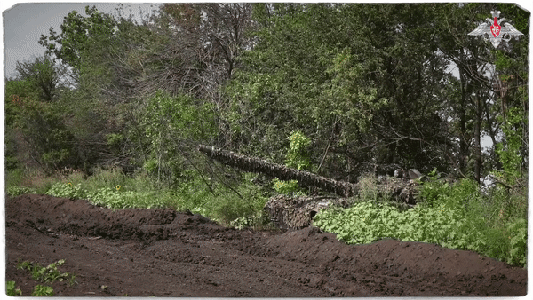 Источник: Минобороны России.