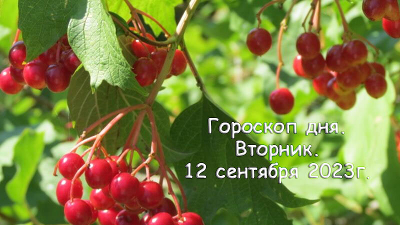 Гороскоп на 12 сентября 2023г.