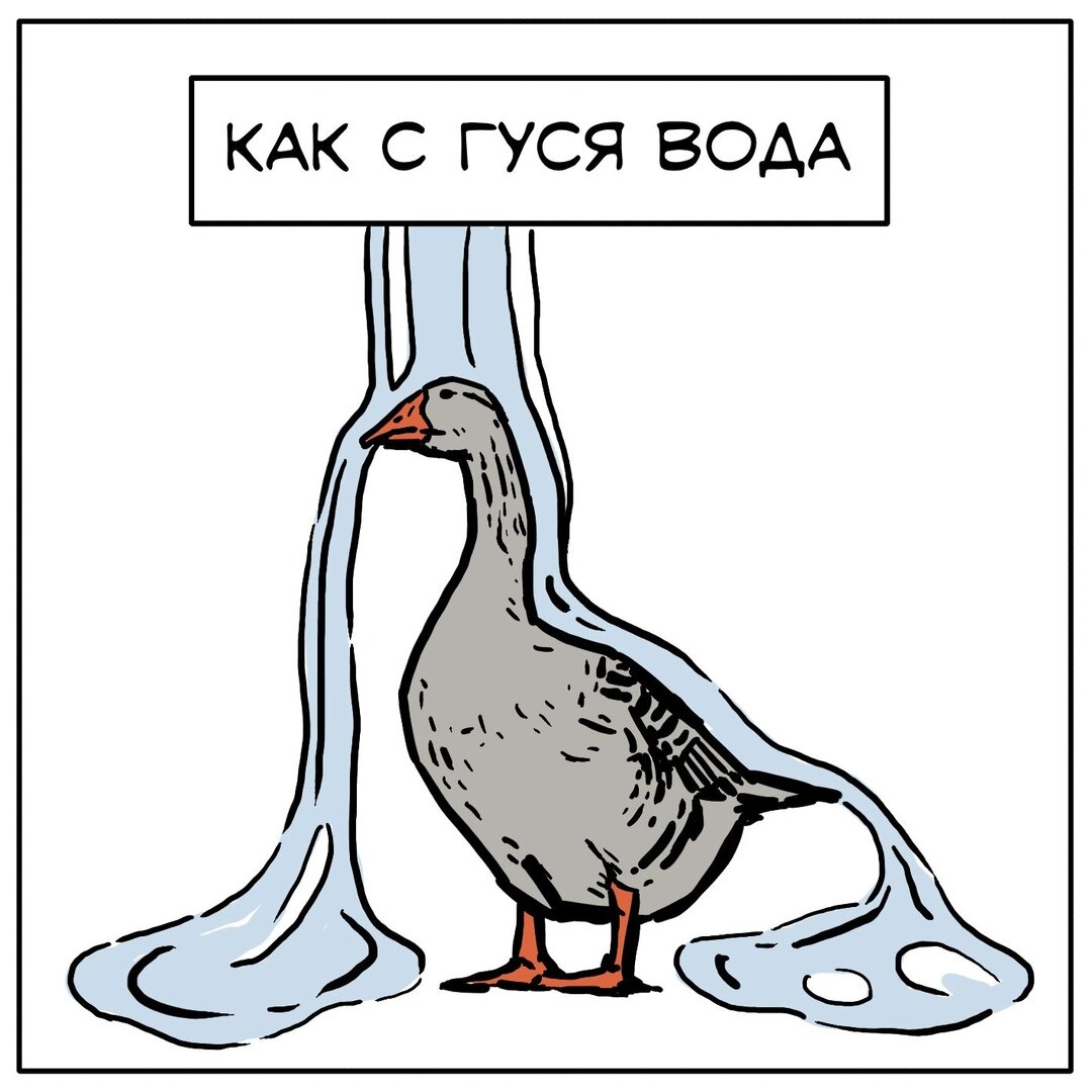 Как с гуся вода фразеологизм