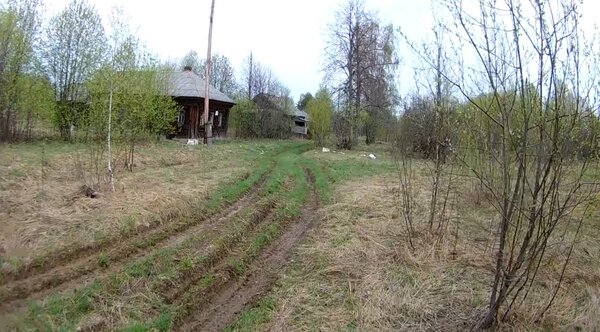 Нашел заброшенную деревню, где есть электричество \ Чудом не провалился в доме