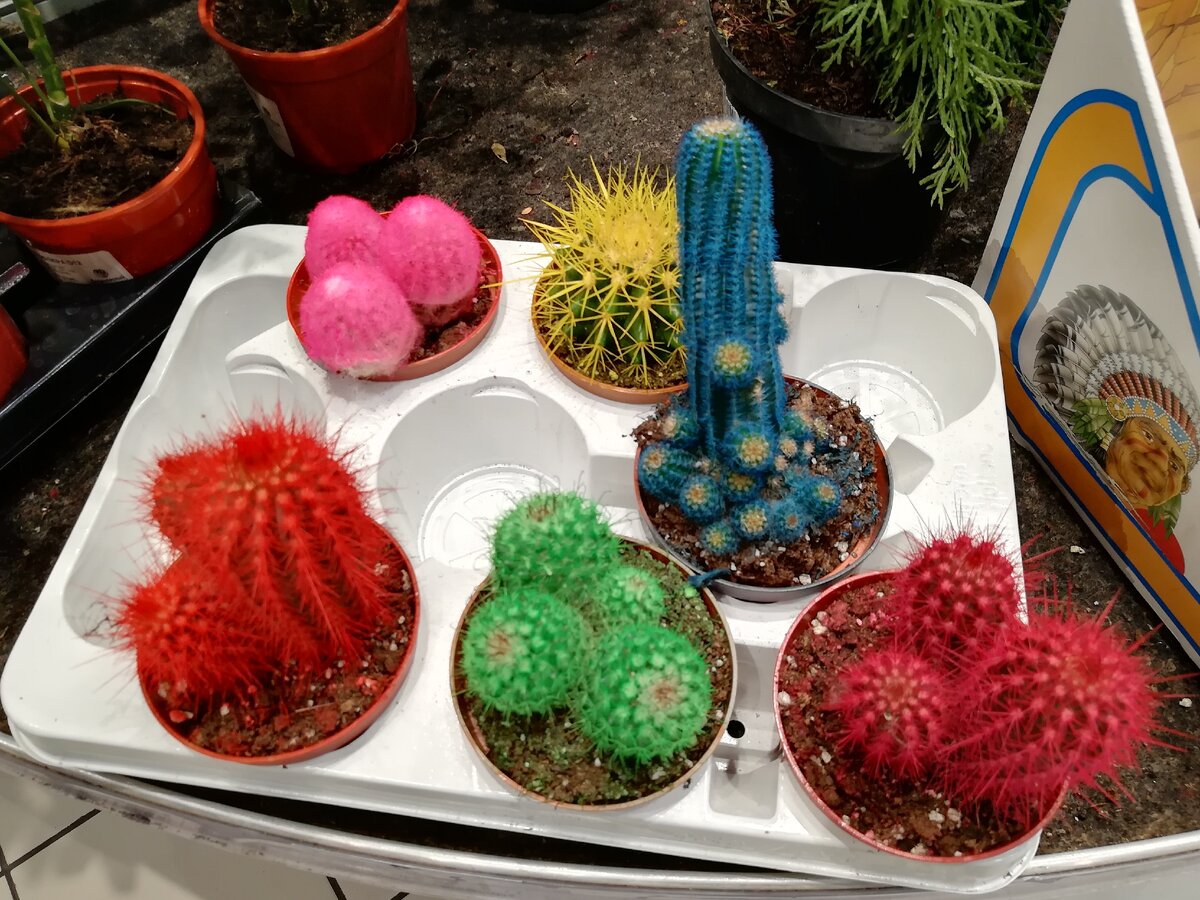 Посмотрите постеры фильма.