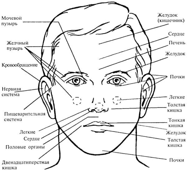 Карта лица высыпания органы