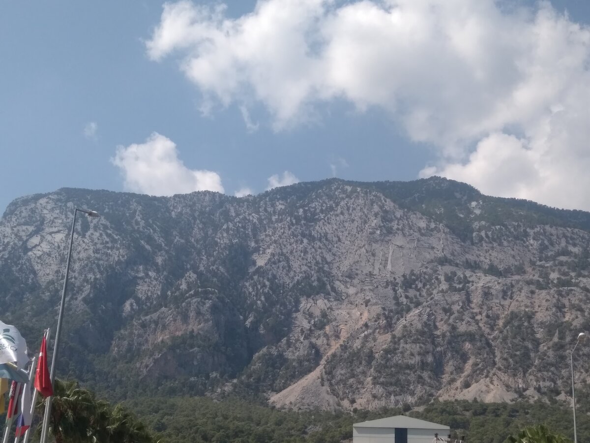 Вид из номера (листабельно)