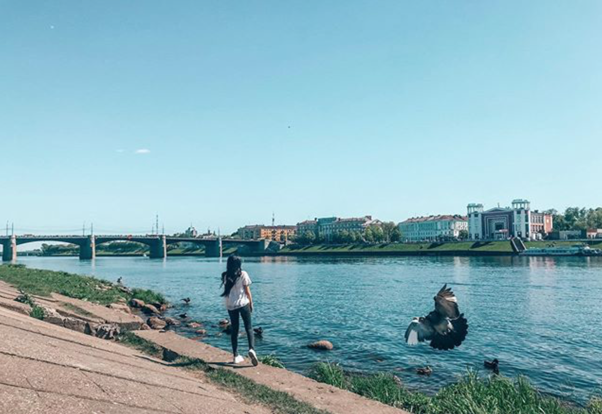 Невероятно фотогеничный голубь