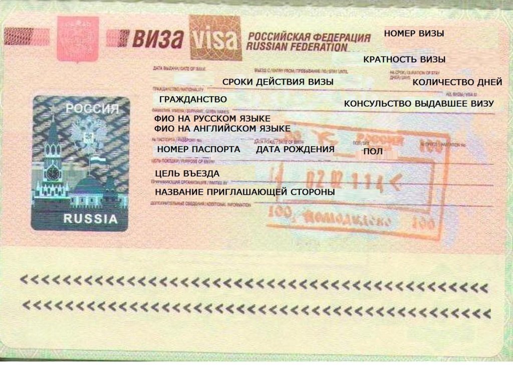 Электронная виза для иностранцев в Россию через Питер