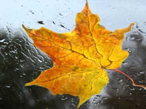 Источник: сервис Яндекс.Картинки