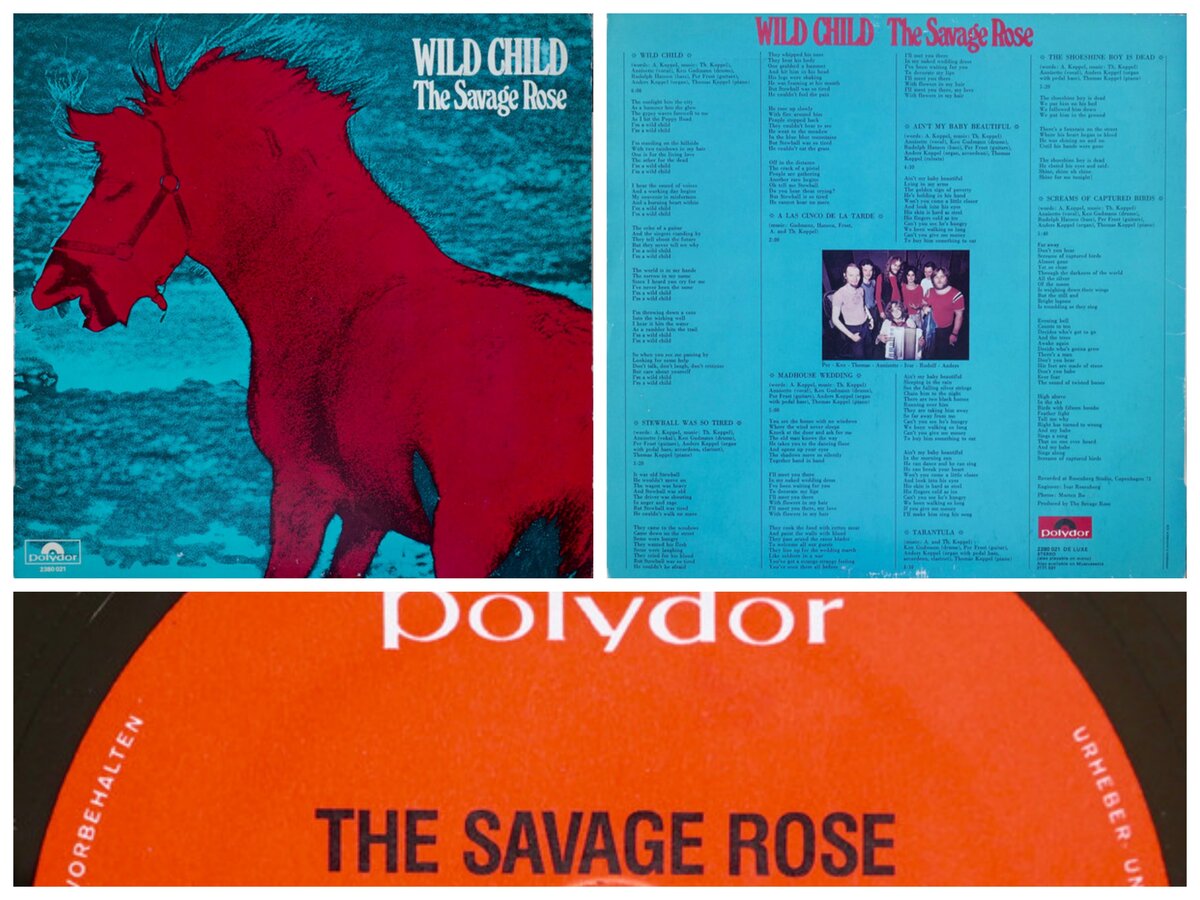 Savage wilds. Группа the Savage Rose. The Savage Rose фото. Краска Bad girl Wild Wild Rose.