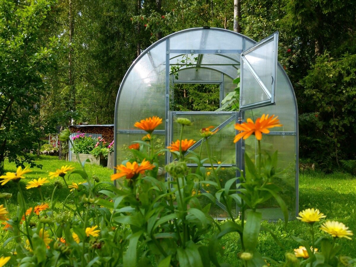 Компактная теплица "Дачная-Двушка" с минимальным размером 2 на 2 метра, высота каркаса 2,2 метра👍🏻 
«Двушку» устанавливают не только на маленьких участках. Начинающим садоводам, которые только пробуют самостоятельно выращивать овощи, отлично подойдет эта компактная модель.

В ней можно сделать две грядки, и один удобный проход. Опытные дачники тоже найдут ей применение на своем огороде. Например, в «Дачной Двушке» можно доращивать рассаду или посадить растения, требующие специального ухода.

Подробнее о характеристиках модели  https://ufa.teplicy.ru/catalog/teplitsa-dachnaya-dvushka-v-ufe/#description