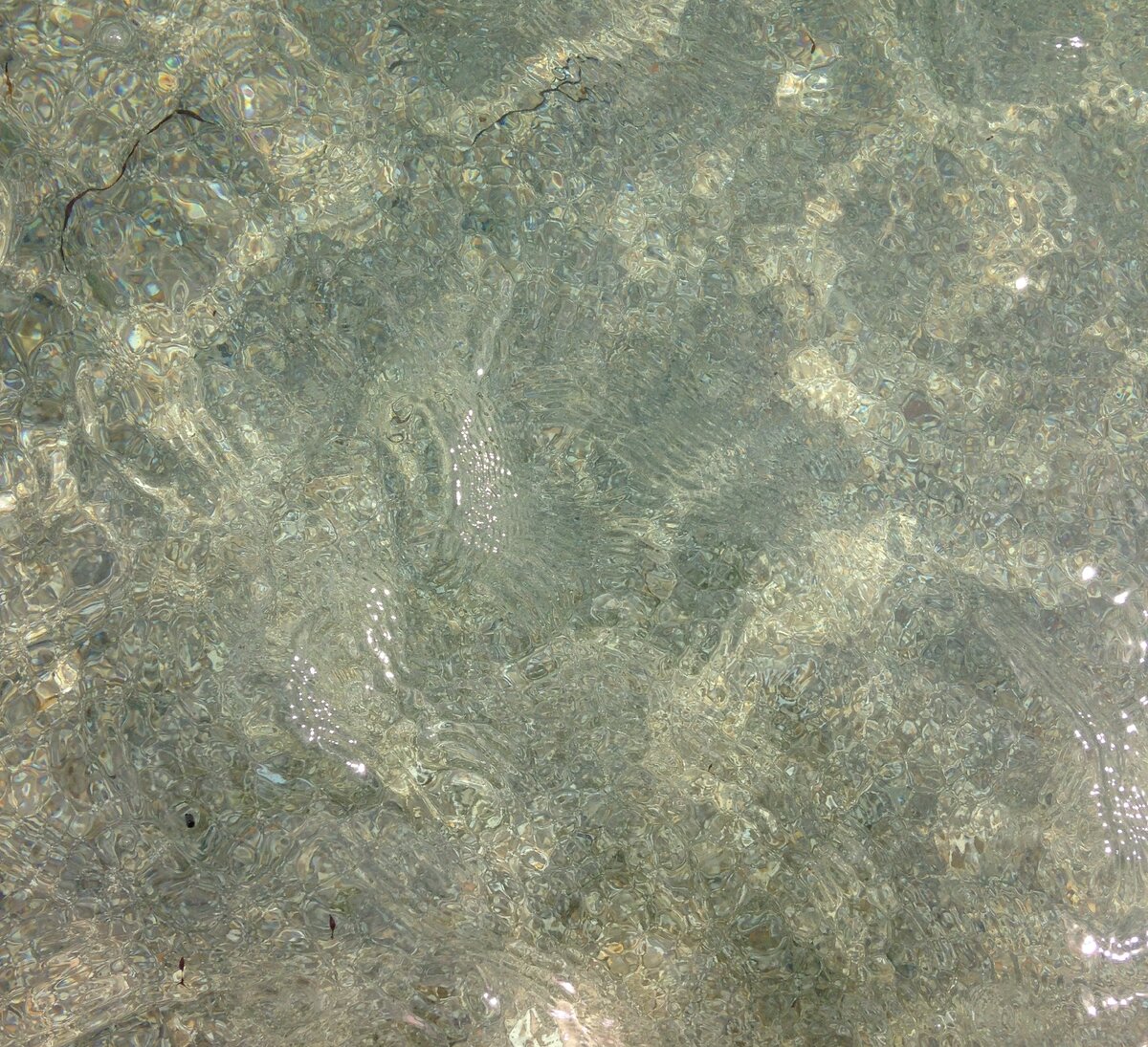 Хорош просматривается дно