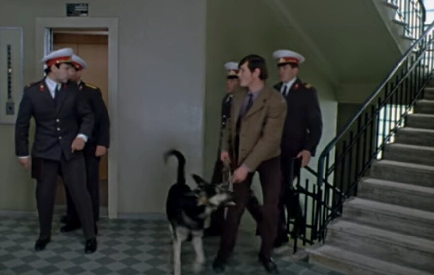 собака с милицией приходила. иван васильевич меняет профессию овчарка. собака с милицией приходила. собака с милицией приходила. 2 магнитофона 2 портсигара отечественных иван васильевич.