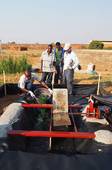 Выращивание спирулины на открытом воздухе