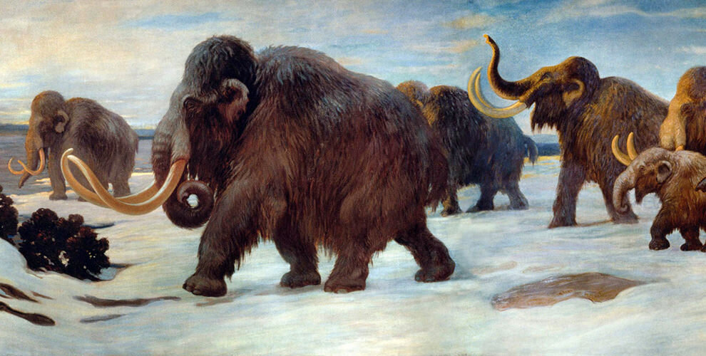 Изображение из открытых источников.