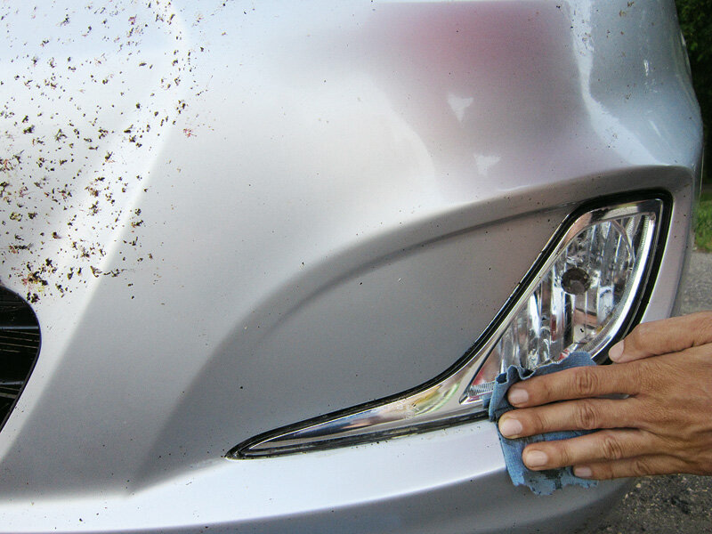 Эффективный способ избавления от следов мошек на кузове автомобиля. 