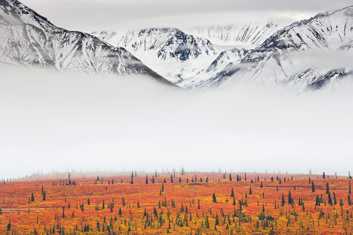 Fortunato Gatto (GB) 2017