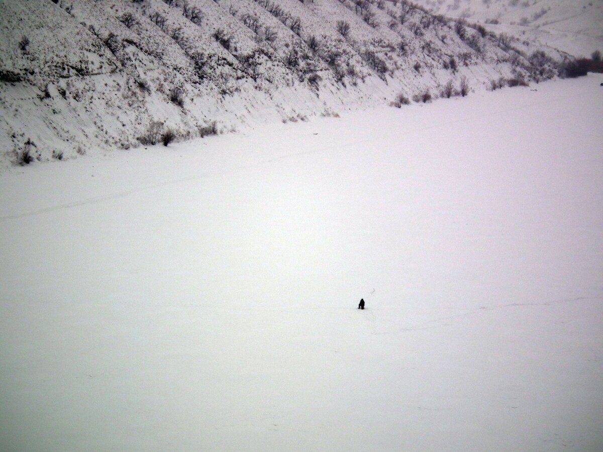 Рыбаки меня всегда удивляют своим фанатизмом. На улице метель, мороз, а он сидит с удочкой посреди замёрзшей реки, продуваемый всеми ветрами, и всё ему нипочём.