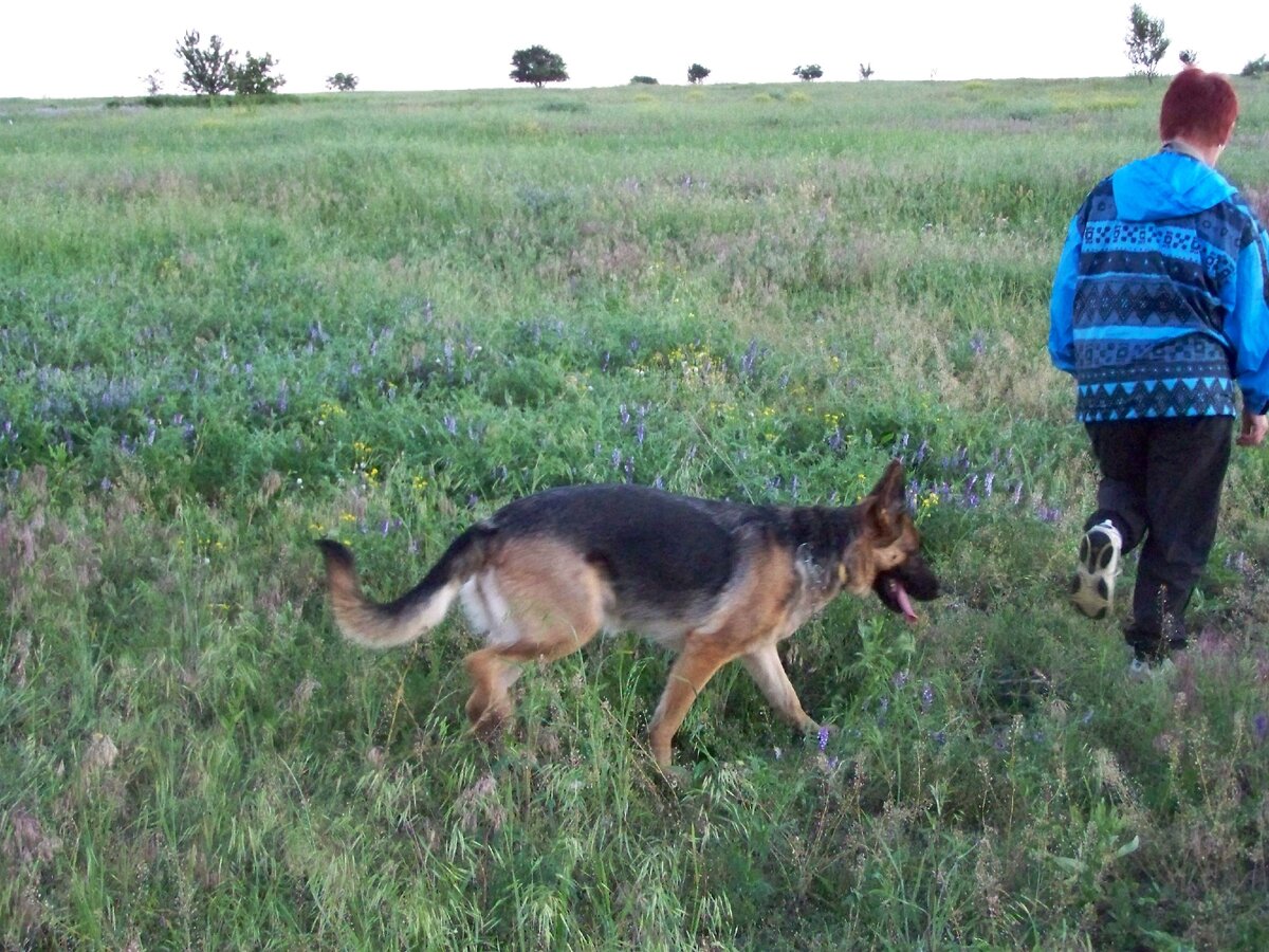 Мы с Тигрой на поле