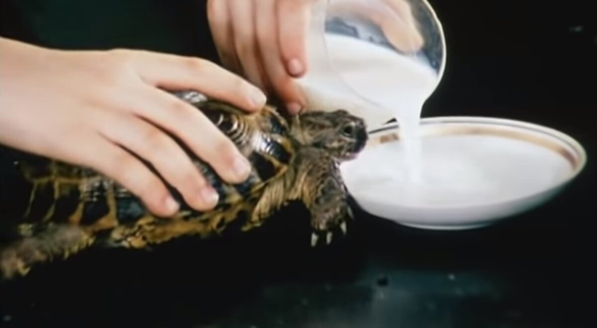 От чистого сердца!