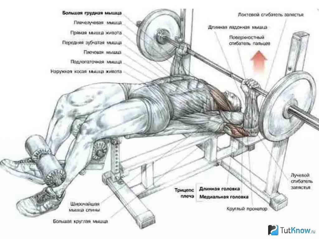 Источник. Яндекс. Картинки