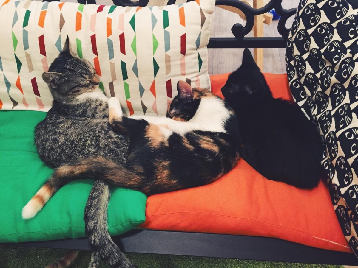 взято из открытых источников