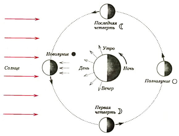 Схема полнолуния. Схема вращение земли и Луны вокруг солна. Расположение Луны относительно земли и солнца. Схема относительного положения солнца земли и Луны в новолуние. Полнолуние схема расположения земли.