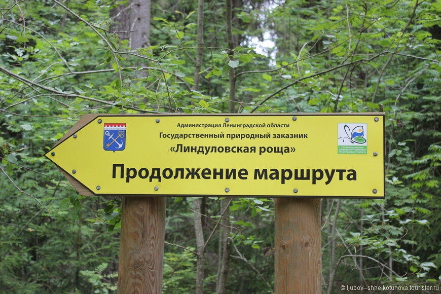 Указатель направления маршрута