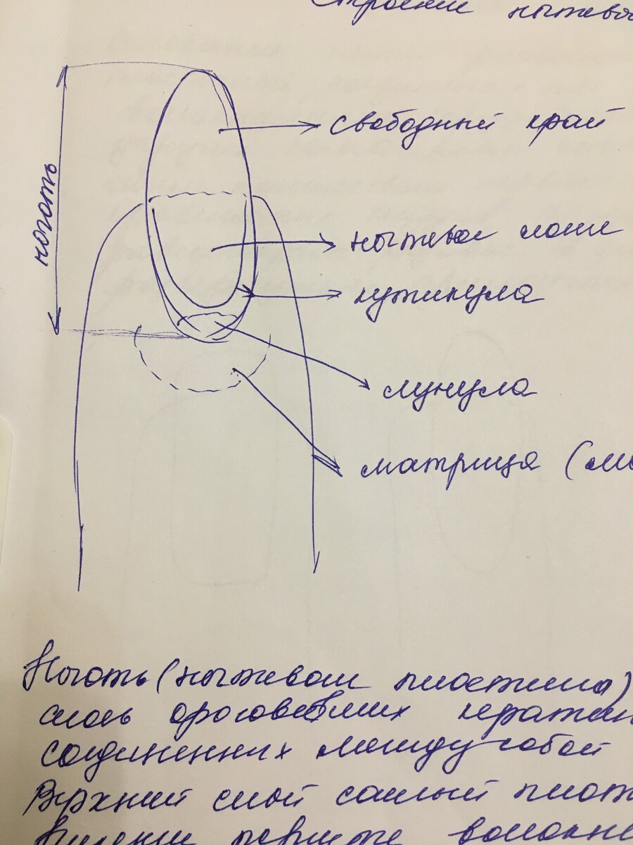 Самое первое занятие 