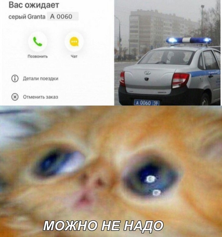 Мем кот можно. Можно не надо. Можно нннадо. Можно не надо Мем. Можно ненадо Мем котенок