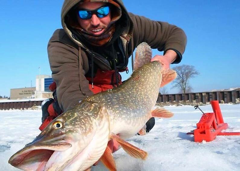 Жерлицы автомат Automatic Fisherman весом чуть больше 1 кг предназначены для зимней рыбалки на щуку и окуня, радужную форель и лосося, судака и сига.