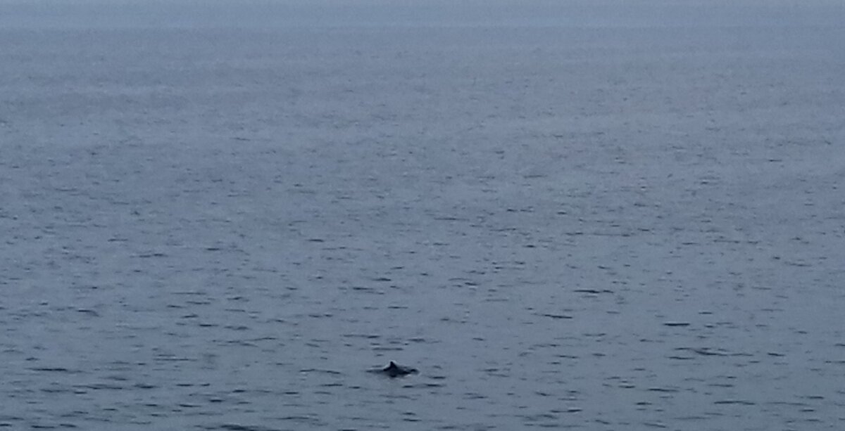 Чёрное море