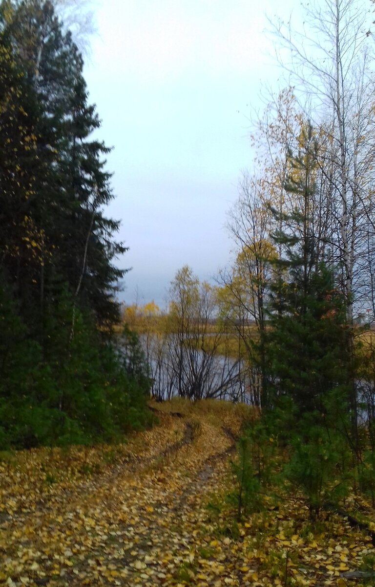 Выход к реке. Фото автора