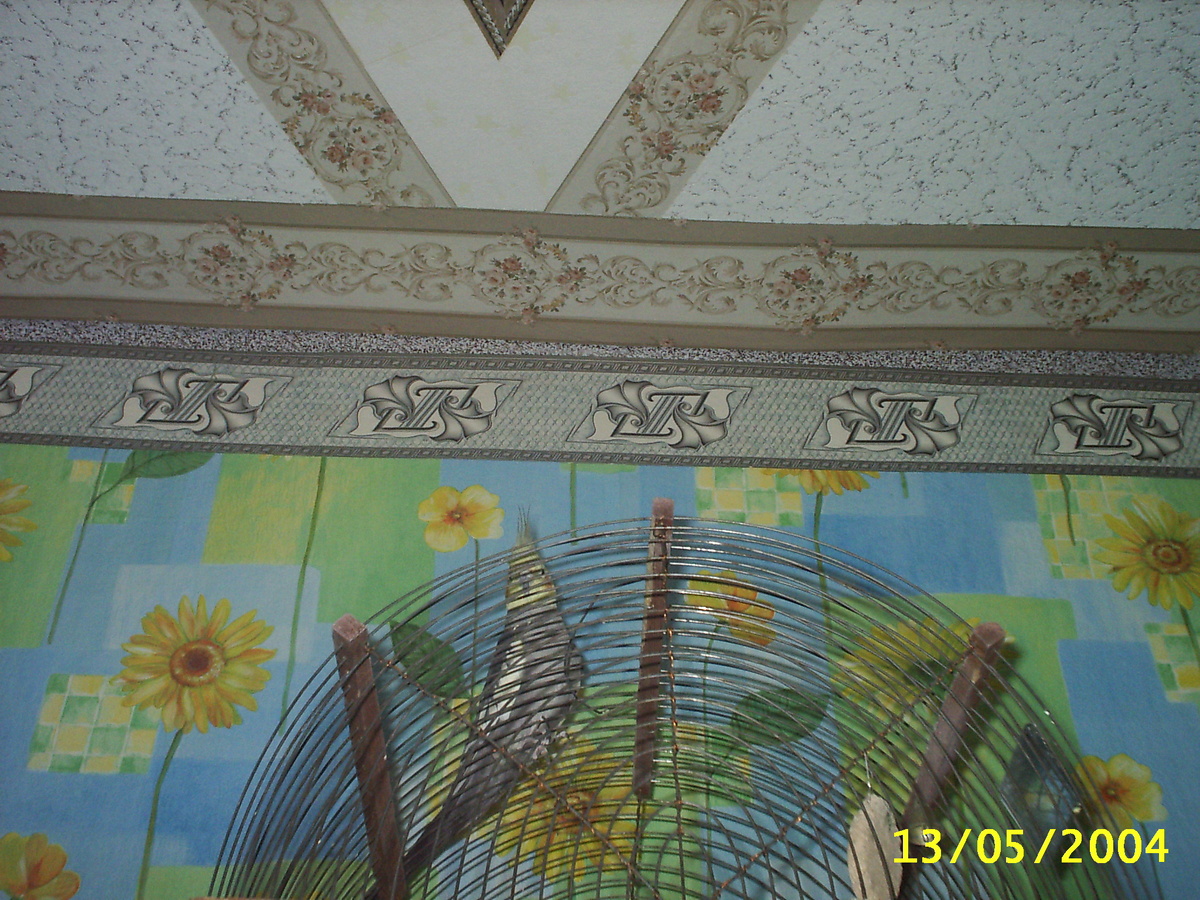 попугай корелла  Рома