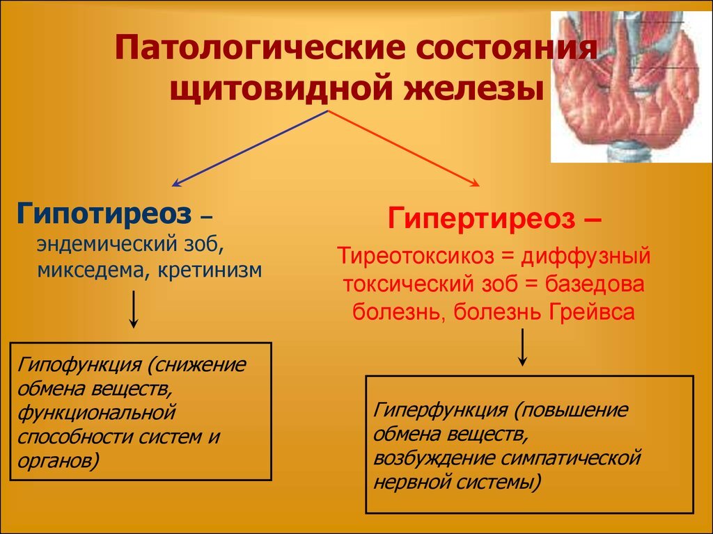 Почему эндемическое заболевание щитовидной железы получило такое название