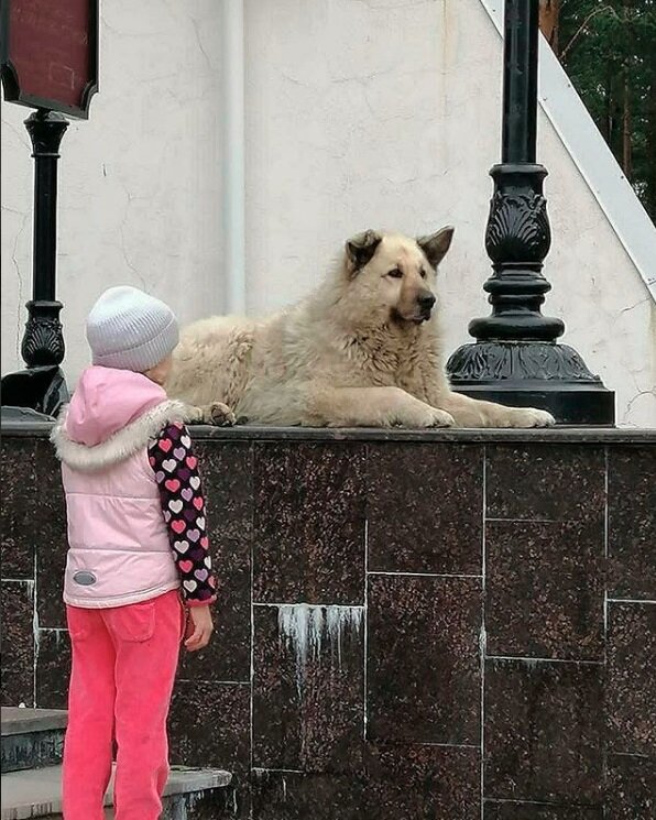 Фото: аккаунт Кефира в социальной сети Instagram* 
