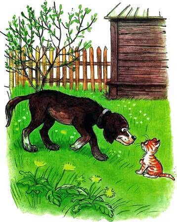 На чердаке жил котёнок по имени Гав. Он был рыжий. Когда соседский кот узнал, что рыжего котёнка зовут Гав, он почесал спинку о трубу соседского дома и сказал:
— Я бы не советовал котёнку с таким именем спускаться во двор. Во дворе котёнка с таким именем ждут одни неприятности.
Котёнок Гав услышал и подумал: «Что это за неприятности и зачем они меня ждут?». Гав сейчас же спустился во двор и внимательно осмотрел все закоулки — нигде никаких неприятностей не было.
В это время во двор вышла большая собака. Она увидела Гава и подумала: «Вот идёт рыжий котёнок. Что-то раньше я его не замечала».
— Эй ты, рыжий, — позвала собака, — как тебя зовут?
— Гав! — сказал котёнок.
— Чтоооо?! — удивилась собака.
— Гав!
— Ах ты ещё дразнишься, — закричала собака и погналась за котёнком так быстро, что чуть-чуть его не поймала.
Когда котёнок Гав примчался на свой чердак, соседский кот спросил его:
— Ну, убедился, что во дворе тебя ждут неприятности?
— Нет, — сказал котёнок, — не убедился. Я их искал, искал и уже почти совсем нашёл, но меня собака прогнала.