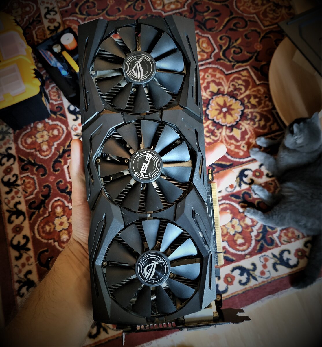 собственно, сама видеокарта