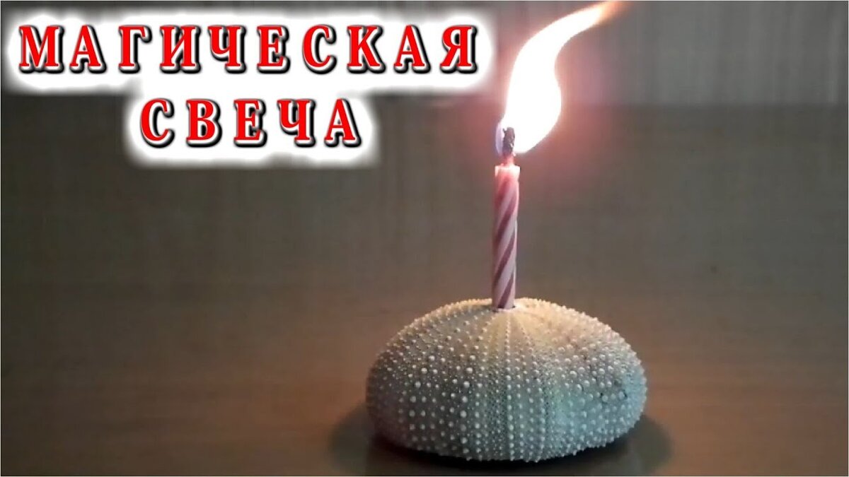 вОЛШЕБНАЯ СВЕЧКА В ПОДСВЕЧНИКЕ ИЗ МОРСКОГО ЕЖА