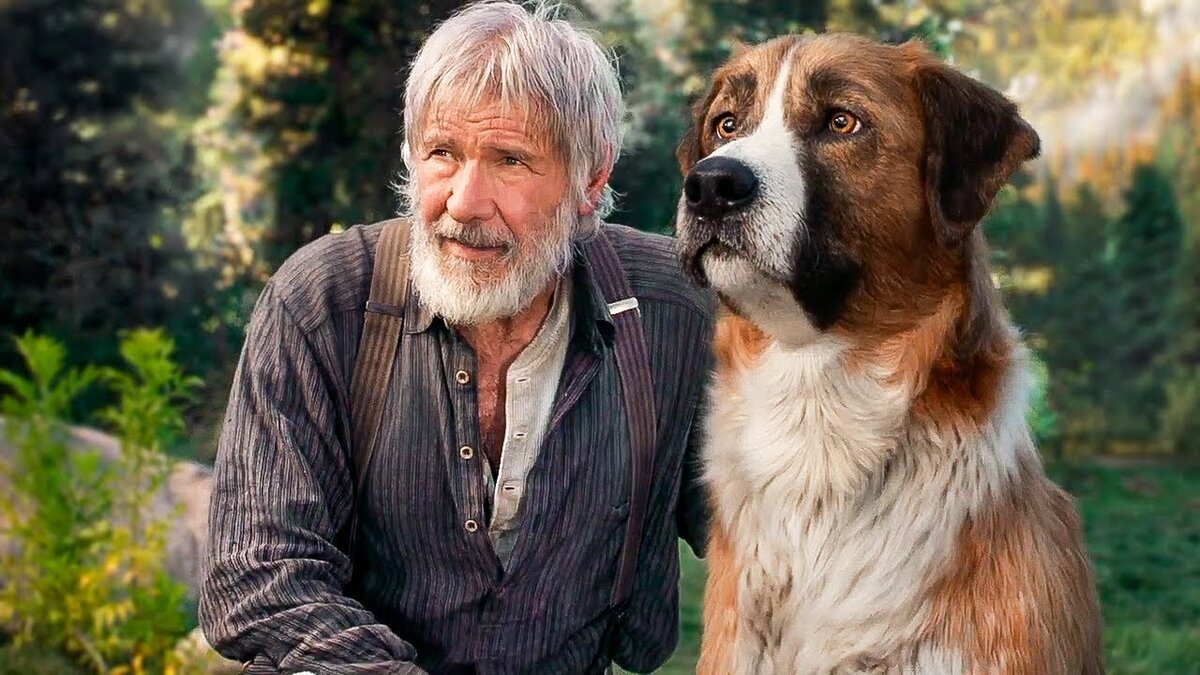 Кадр из фильма «Зов предков» (2020)