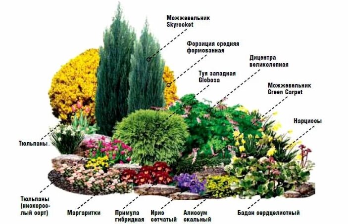 Цвет в ландшафтном дизайне #1