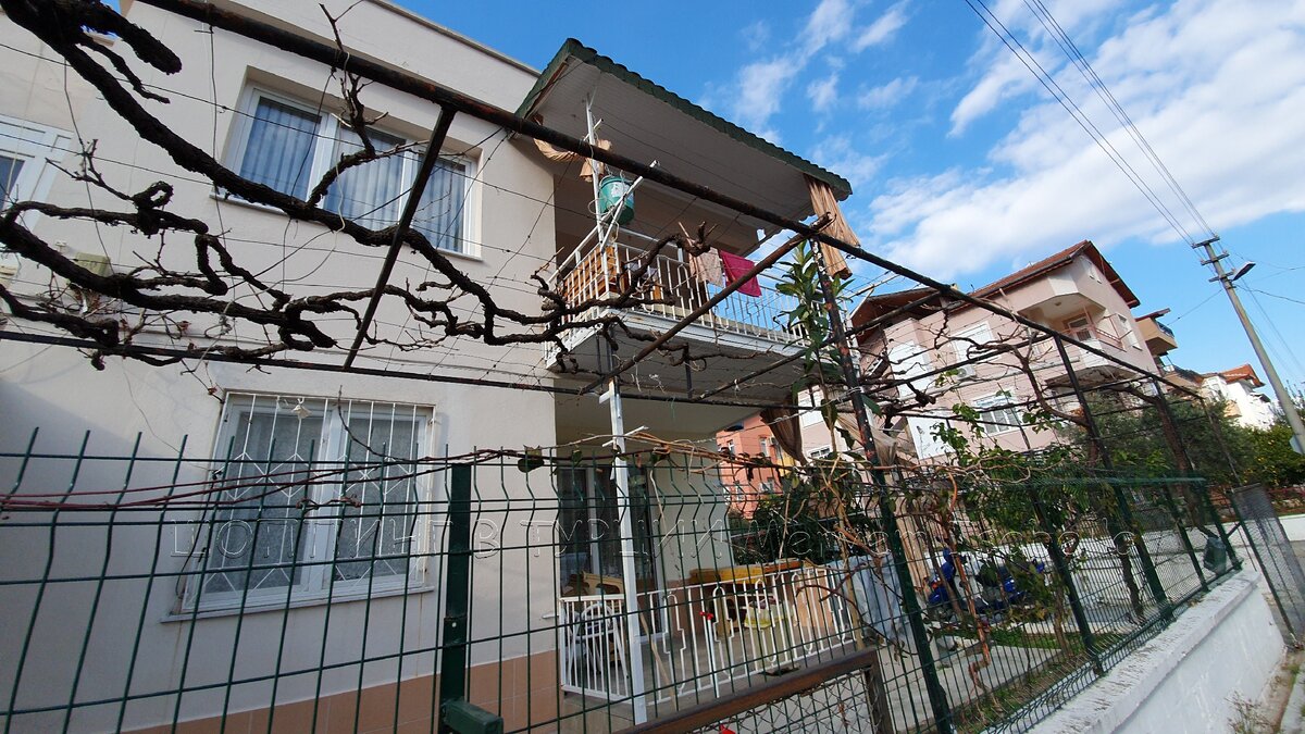 От роскошного винограда осталась кривая палка.