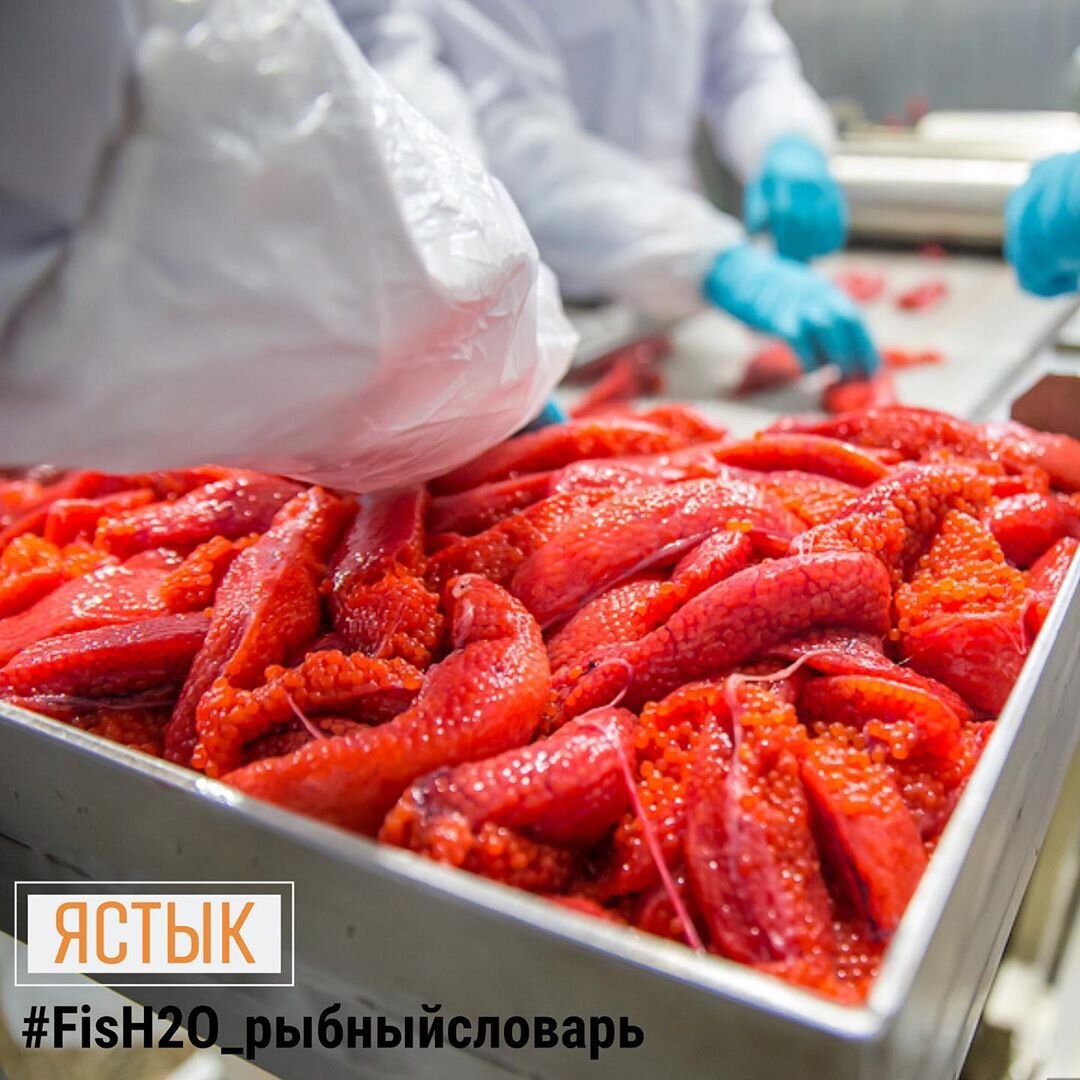 Ястычная икра Ястычная икра