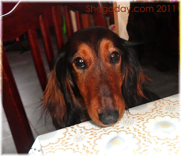 Фото из архива п-ка "Шегодай"