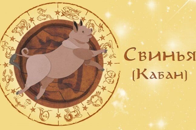 Изображение взято из открытых источников Яндекс. Картинки 