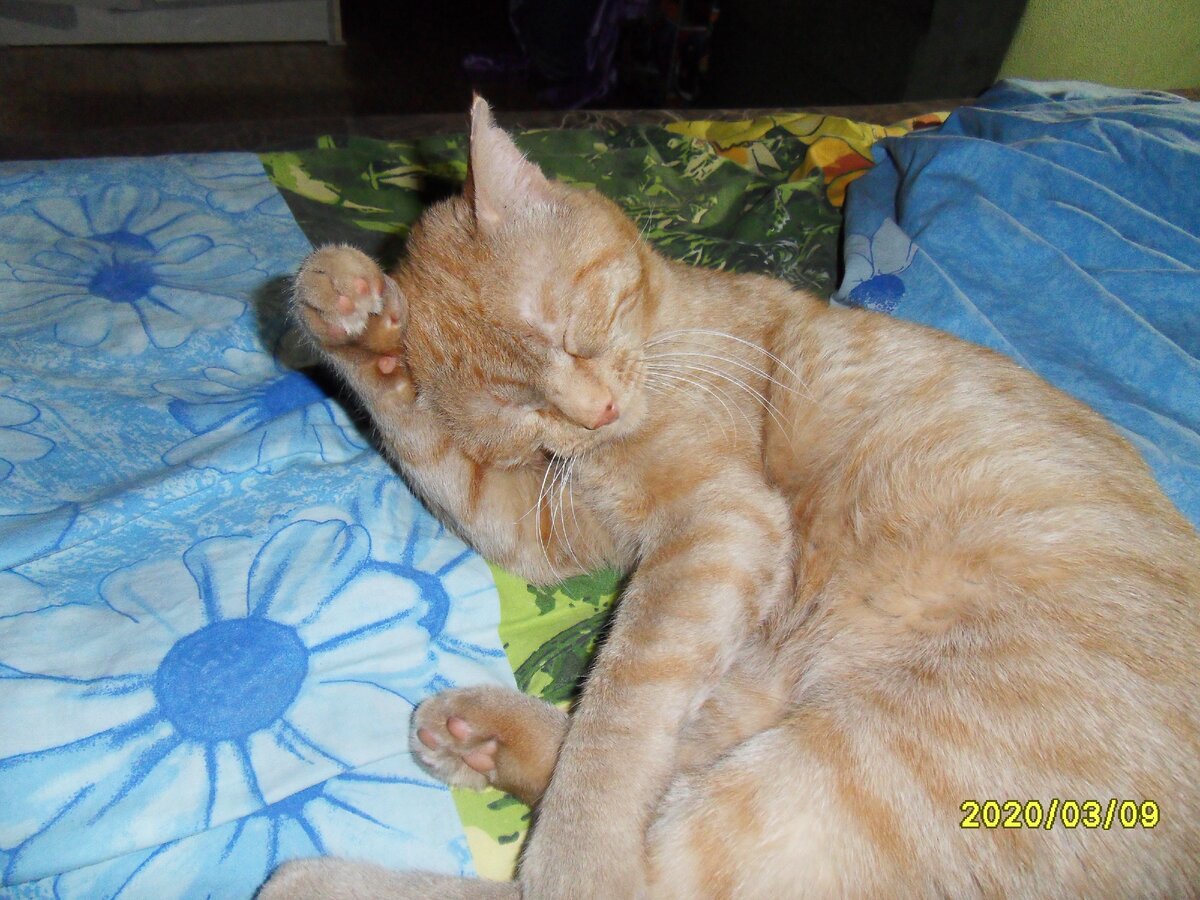 Всем - Пока!