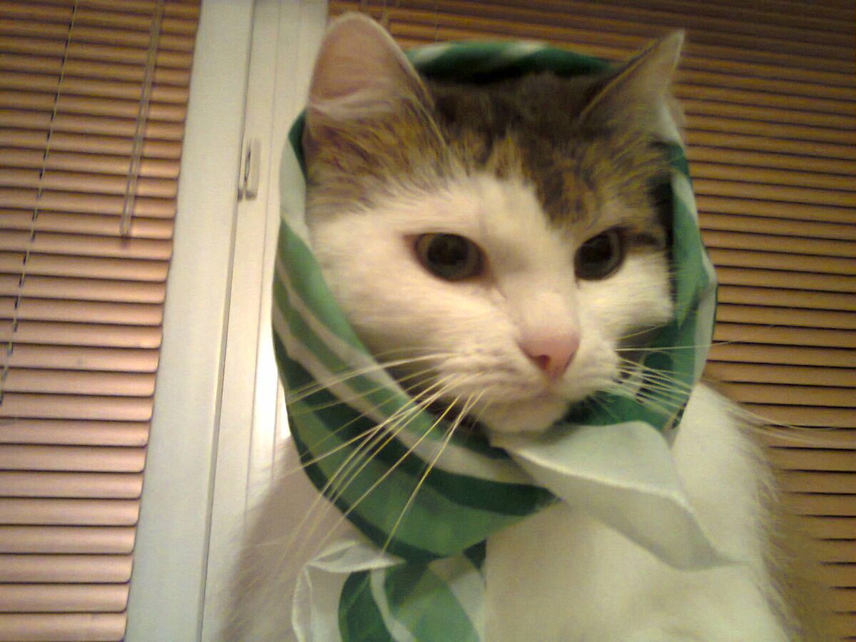 Фото из личного архива автора.