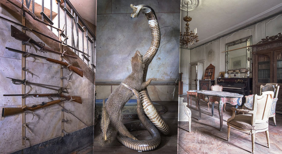 Трофеи, оружие, и дорогие вещи... Да это особняк во Франции.