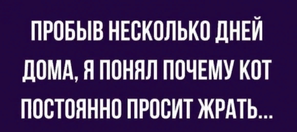ХОРОШО ЧТО СЛОНОВ ДОМА НЕ ДЕРЖАТ...