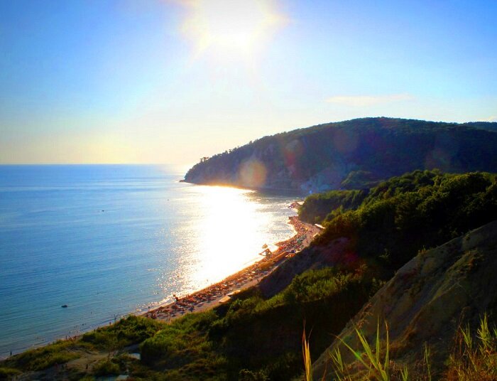 Фото Яндекс Картинки.